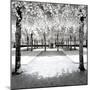 Another Look - Paris-Philippe Hugonnard-Mounted Photographic Print