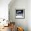 Another Look - Paris-Philippe Hugonnard-Framed Photographic Print displayed on a wall