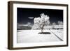 Another Look - Paris-Philippe Hugonnard-Framed Photographic Print