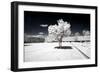 Another Look - Paris-Philippe Hugonnard-Framed Photographic Print