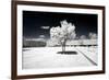 Another Look - Paris-Philippe Hugonnard-Framed Photographic Print