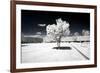 Another Look - Paris-Philippe Hugonnard-Framed Photographic Print