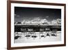 Another Look - Paris-Philippe Hugonnard-Framed Photographic Print