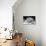 Another Look - Paris-Philippe Hugonnard-Photographic Print displayed on a wall