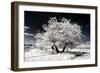 Another Look - Paris-Philippe Hugonnard-Framed Photographic Print