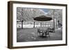 Another Look - Paris-Philippe Hugonnard-Framed Photographic Print