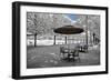 Another Look - Paris-Philippe Hugonnard-Framed Photographic Print