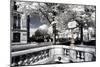 Another Look - Paris-Philippe Hugonnard-Mounted Photographic Print