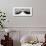 Another Look - Paris-Philippe Hugonnard-Framed Photographic Print displayed on a wall