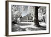 Another Look - Paris-Philippe Hugonnard-Framed Photographic Print