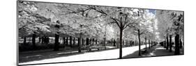 Another Look - Paris-Philippe Hugonnard-Mounted Photographic Print