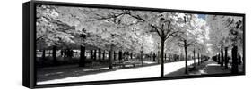 Another Look - Paris-Philippe Hugonnard-Framed Stretched Canvas