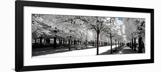 Another Look - Paris-Philippe Hugonnard-Framed Photographic Print