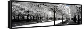 Another Look - Paris-Philippe Hugonnard-Framed Stretched Canvas