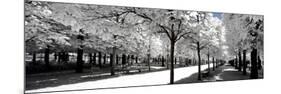 Another Look - Paris-Philippe Hugonnard-Mounted Photographic Print