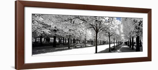 Another Look - Paris-Philippe Hugonnard-Framed Photographic Print