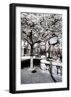 Another Look - Paris-Philippe Hugonnard-Framed Premium Photographic Print