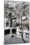 Another Look - Paris-Philippe Hugonnard-Mounted Premium Photographic Print