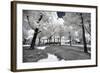 Another Look - Paris-Philippe Hugonnard-Framed Photographic Print