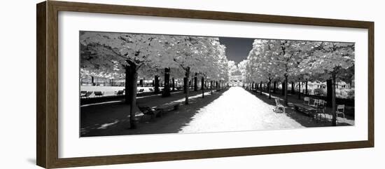 Another Look - Paris-Philippe Hugonnard-Framed Photographic Print