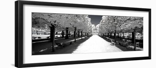 Another Look - Paris-Philippe Hugonnard-Framed Photographic Print