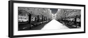 Another Look - Paris-Philippe Hugonnard-Framed Photographic Print