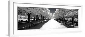 Another Look - Paris-Philippe Hugonnard-Framed Photographic Print