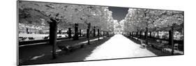 Another Look - Paris-Philippe Hugonnard-Mounted Photographic Print