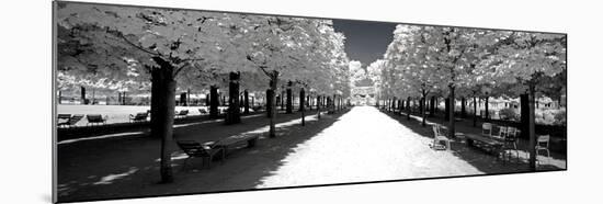 Another Look - Paris-Philippe Hugonnard-Mounted Photographic Print