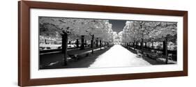 Another Look - Paris-Philippe Hugonnard-Framed Photographic Print