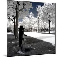 Another Look - Paris-Philippe Hugonnard-Mounted Photographic Print