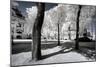 Another Look - Paris-Philippe Hugonnard-Mounted Photographic Print