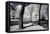 Another Look - Paris-Philippe Hugonnard-Framed Stretched Canvas