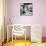 Another Look - Paris-Philippe Hugonnard-Photographic Print displayed on a wall