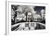 Another Look - Paris-Philippe Hugonnard-Framed Photographic Print