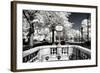 Another Look - Paris-Philippe Hugonnard-Framed Photographic Print