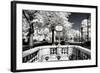 Another Look - Paris-Philippe Hugonnard-Framed Photographic Print