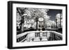 Another Look - Paris-Philippe Hugonnard-Framed Photographic Print