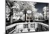 Another Look - Paris-Philippe Hugonnard-Mounted Photographic Print