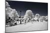 Another Look - Paris-Philippe Hugonnard-Mounted Photographic Print