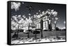 Another Look - Paris-Philippe Hugonnard-Framed Stretched Canvas