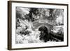 Another Look - Paris-Philippe Hugonnard-Framed Photographic Print