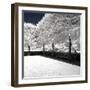 Another Look - Paris-Philippe Hugonnard-Framed Photographic Print