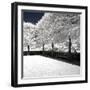 Another Look - Paris-Philippe Hugonnard-Framed Photographic Print