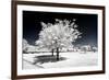 Another Look - Paris-Philippe Hugonnard-Framed Photographic Print