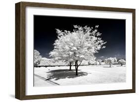 Another Look - Paris-Philippe Hugonnard-Framed Photographic Print