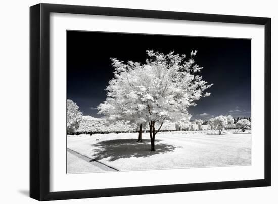 Another Look - Paris-Philippe Hugonnard-Framed Photographic Print