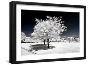 Another Look - Paris-Philippe Hugonnard-Framed Photographic Print