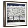 Another Look - Paris-Philippe Hugonnard-Framed Photographic Print