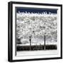 Another Look - Paris-Philippe Hugonnard-Framed Photographic Print